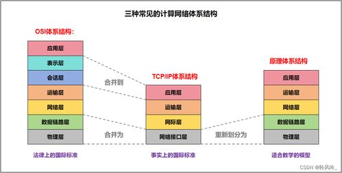 計(jì)算機(jī)網(wǎng)絡(luò)導(dǎo)論 探索網(wǎng)絡(luò)世界的奧秘與軟件技術(shù)開(kāi)發(fā)